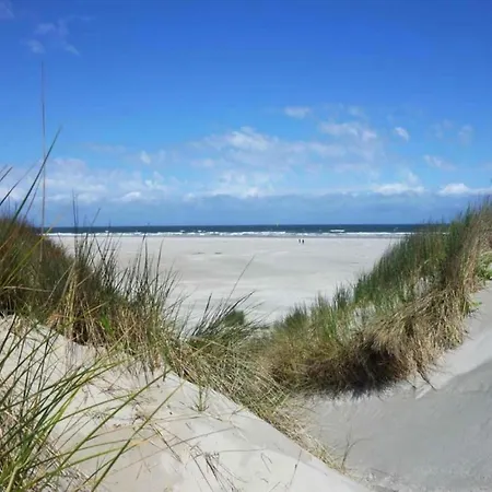 In Near Texel Appartamento