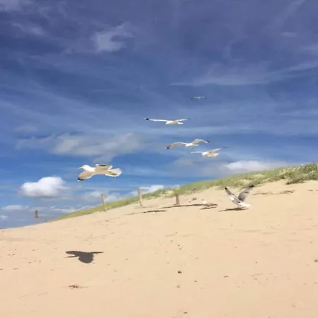 In Near Texel Appartamento *