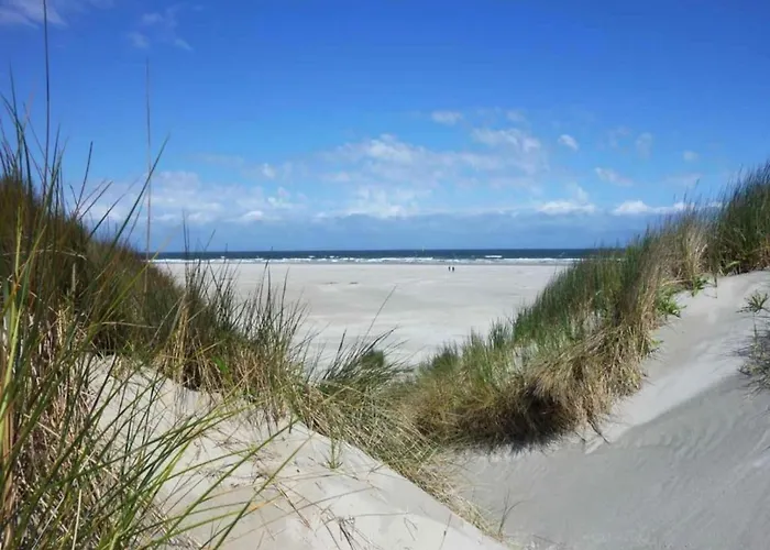 In Near Texel Appartement