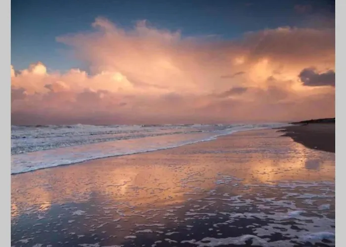 In Near Texel Apartment *