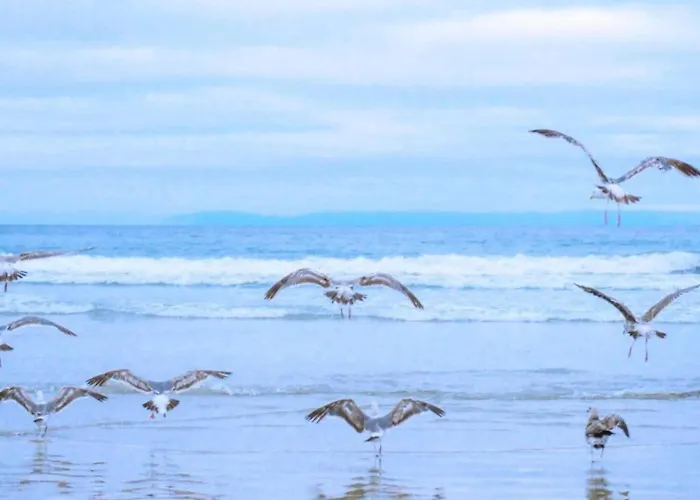 In Near Texel De Koog (Texel)