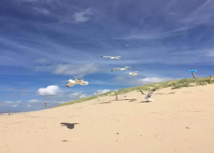 In Near Texel Apartment *