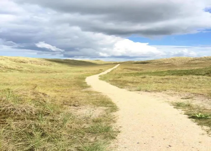 Apartment In Near Texel